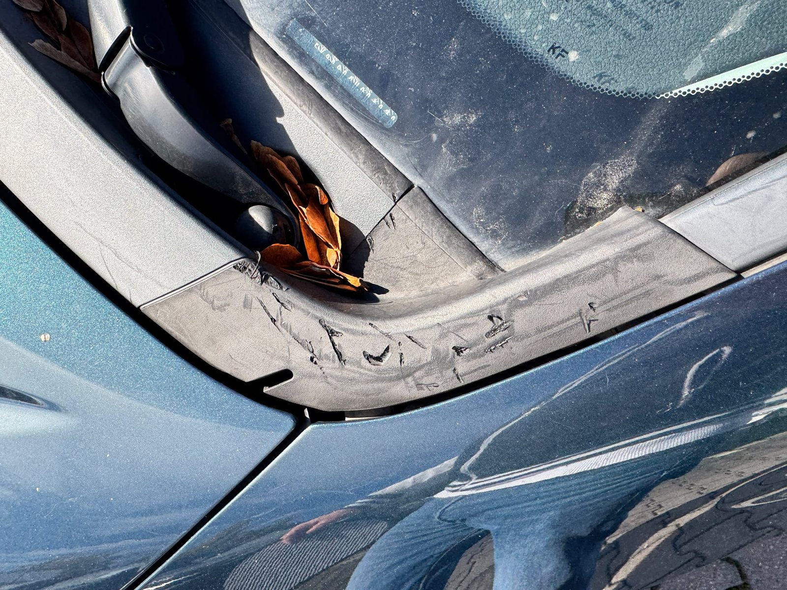 Detailaufnahme des Wasserkastens und des Scheibenrahmens am Honda Civic